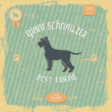 Dev Schnauzer vintage tipografi poster el çekilmiş