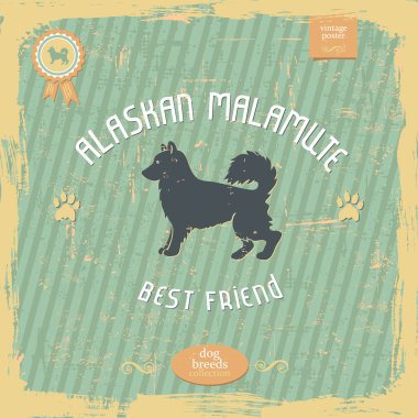 Alaskan Malamute vintage tipografi poster el çekilmiş