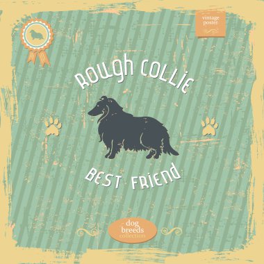 Rough Collie vintage tipografi poster el çekilmiş