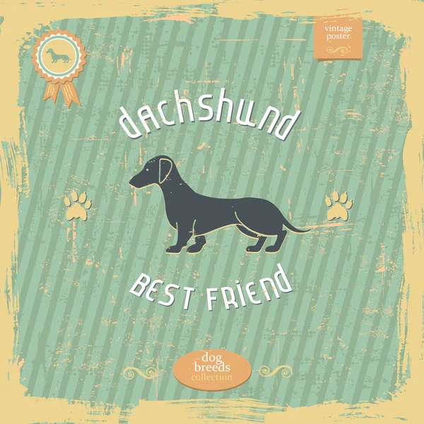 Dachshund vintage typography poster — Stock Vector