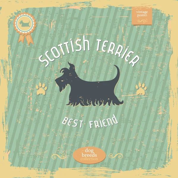 Ręcznie rysowane Scottish Terrier typografia tło plakat — Wektor stockowy