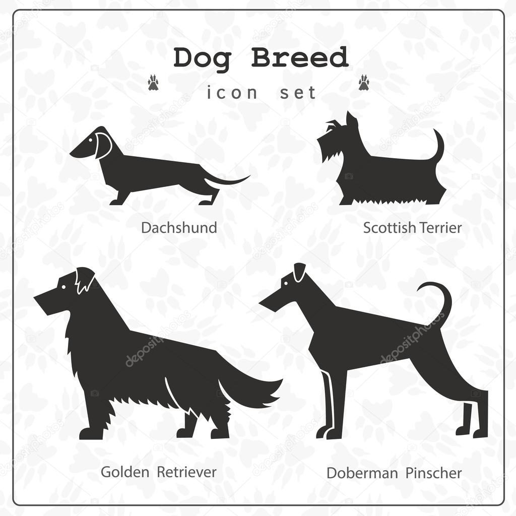 Stylized set of four dog breeds