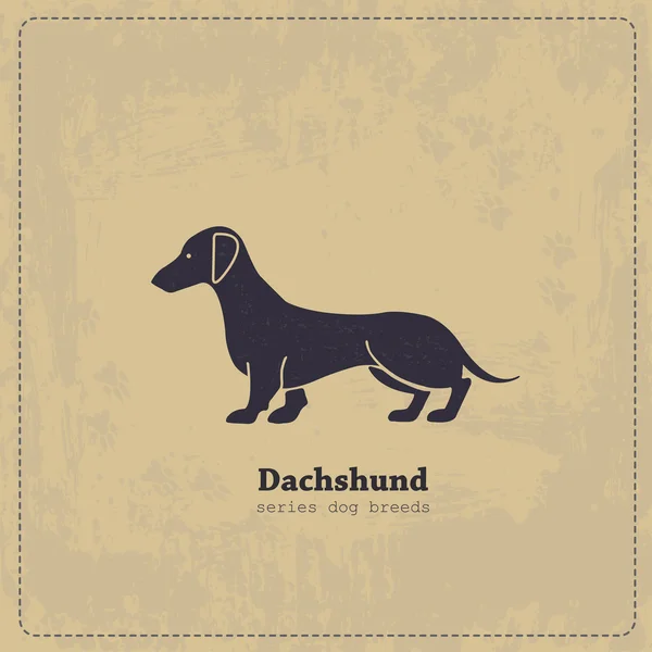 Poster dachshund vintage —  Vetores de Stock