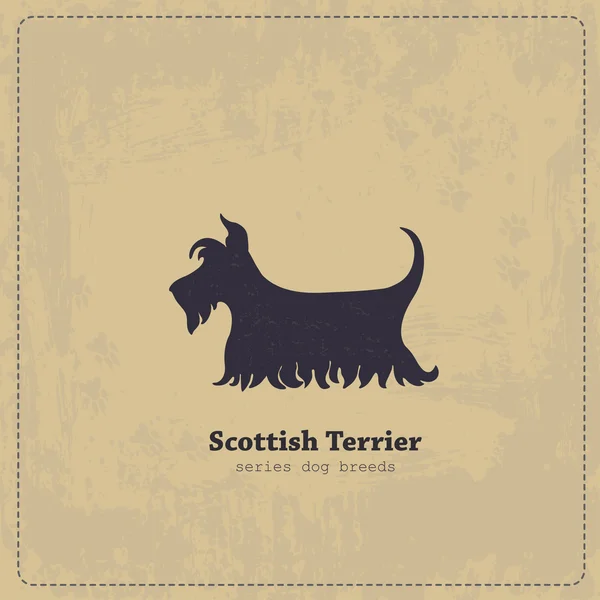 Cartel Vintage Scottish Terrier — Vector de stock