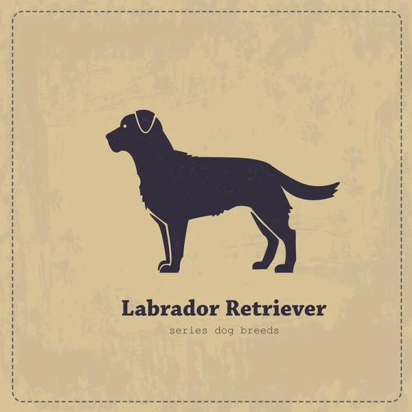 Labrador retriever διάνυσμα στυλιζαρισμένη σιλουέτα — Διανυσματικό Αρχείο