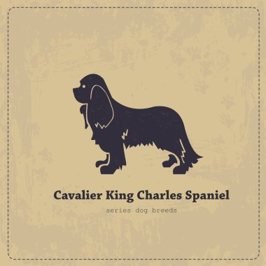 Download Cavalier King Charles Spaniel Free Vector Eps Cdr Ai Svg Vector Illustration Graphic Art