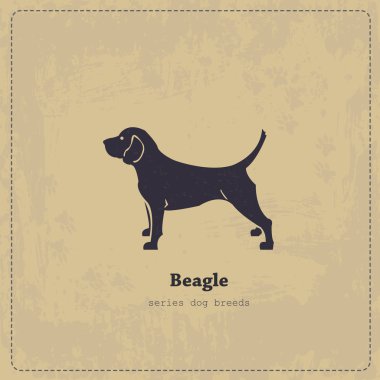 Stylized beagle dog vintage poster