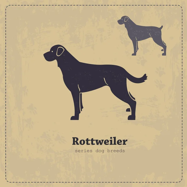 Rottweiler silhouette vintage poster — Stock Vector