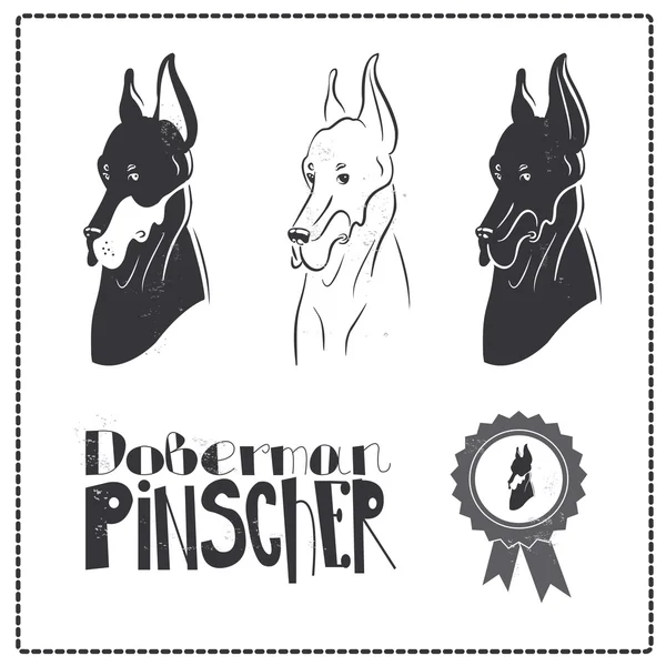 Doberman Pincher Dog conjunto de iconos — Vector de stock