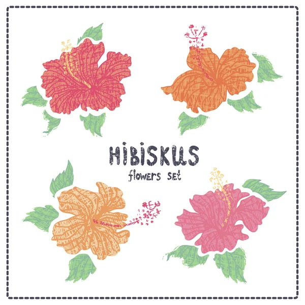 Hibiscus çiçek kümesi vektör — Stok Vektör