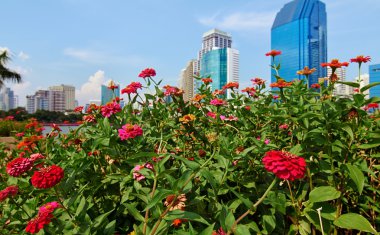 Benjakiti görünümünden