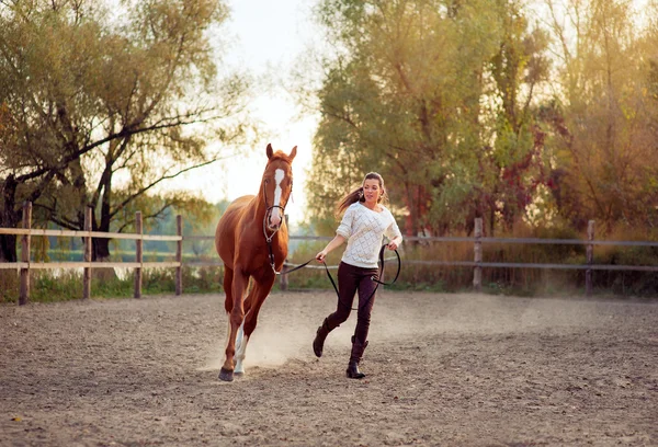 Jovem Mulher com cavalo — Fotografia de Stock