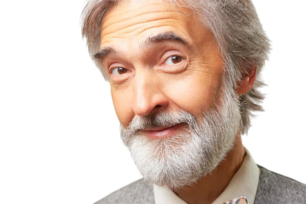 Hombre interesado con barba gris — Foto de Stock