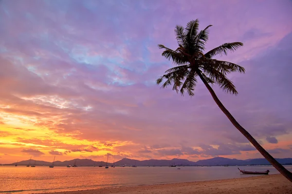 Sunset tropical beach. — Stock Photo, Image