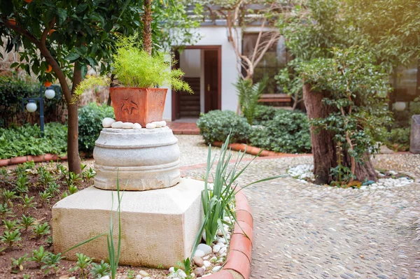 ᐈ Patio imágenes de stock, fotos patio trasero | descargar en