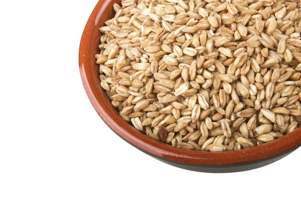 Organic Spelt Grain — Stock Photo, Image