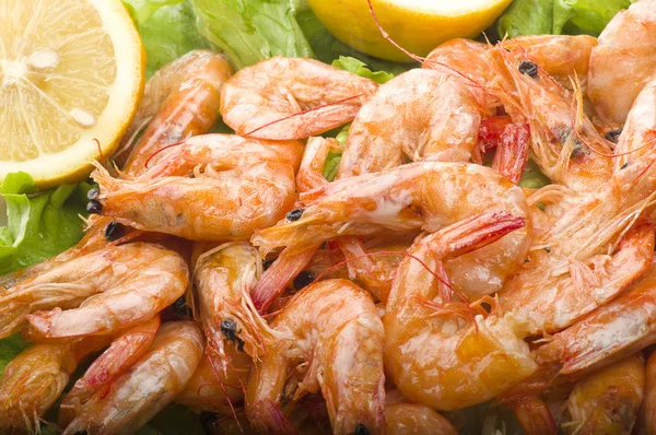 Fresh cooked shrimp — Stock Photo, Image