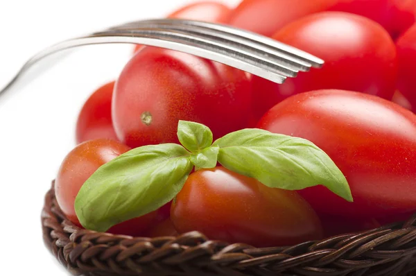 Gruppe von Tomaten — Stockfoto