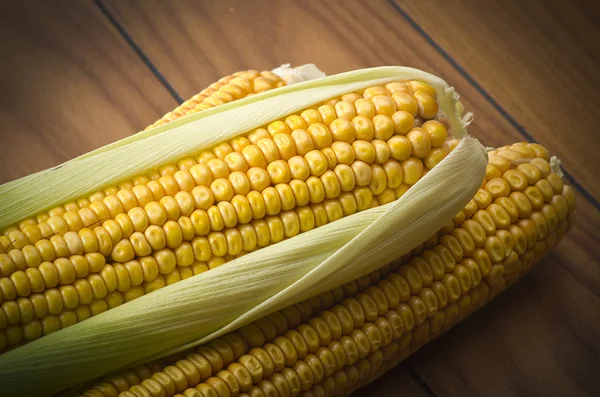 Ripe of corn — Stock Photo, Image