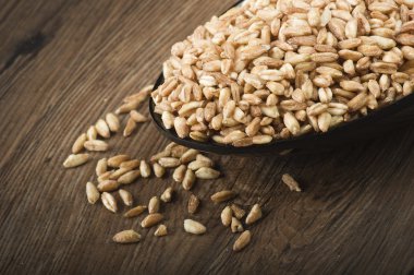 Organik yazıldığından tahıl