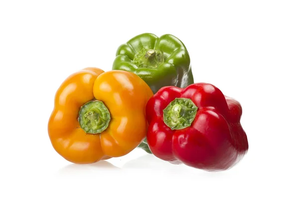 Colored peppers close up — Stock Photo, Image