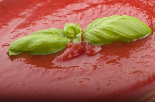 Tomato sauce and basil leaves — Stock Photo, Image
