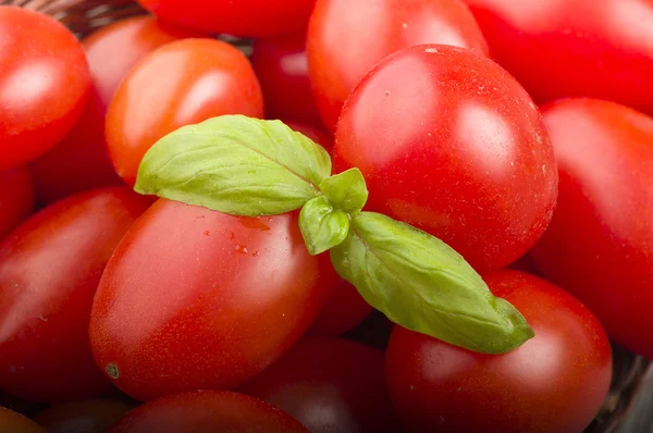 Tomaten und Basilikumblätter — Stockfoto