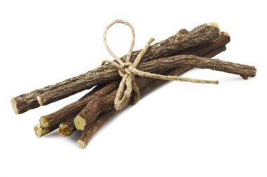 Meyan kökü kökleri yakın çekim