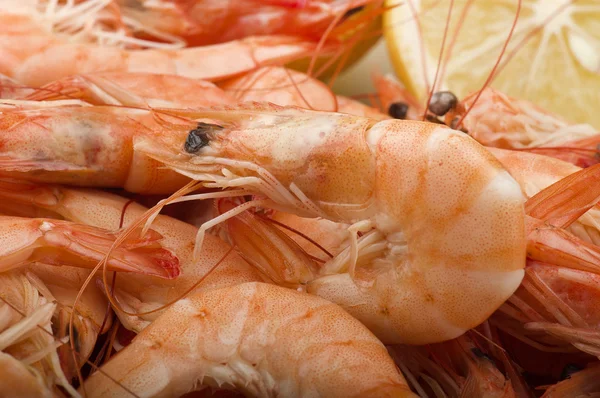 Gamberetti con fetta di limone — Foto Stock