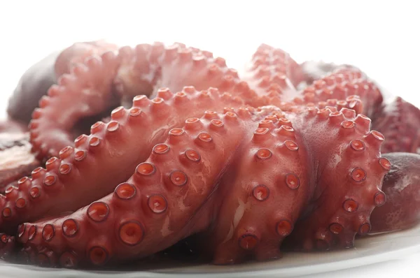 Two boiled octopus — Stock Photo, Image