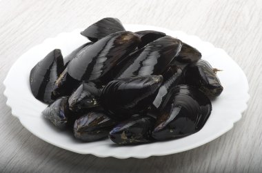 Taze midye yakın çekim