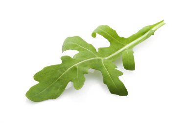 taze roka yaprakları 