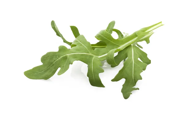 Fresh arugula leaves — Stock Photo, Image