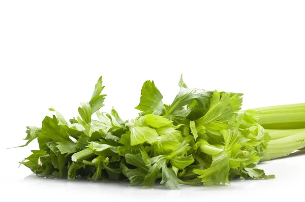 Bunch of celery — Stock Photo, Image