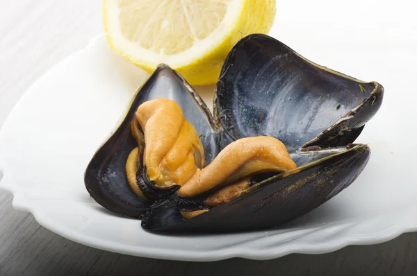 Fresh mussel cooked — Stock Photo, Image