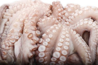 taze ahtapot patates ile