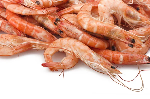 Group of fresh raw shrimp — Stock Photo, Image