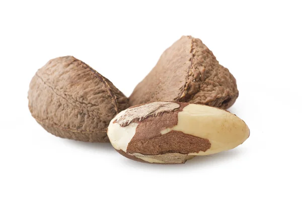 Brazil walnut close up — Stock Photo, Image