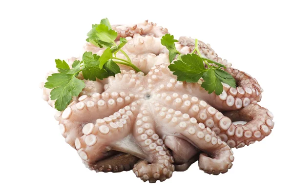 Fresh octopus with potatoes — Stock Photo, Image