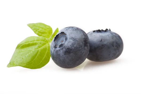 Blueberry — Stock Photo, Image