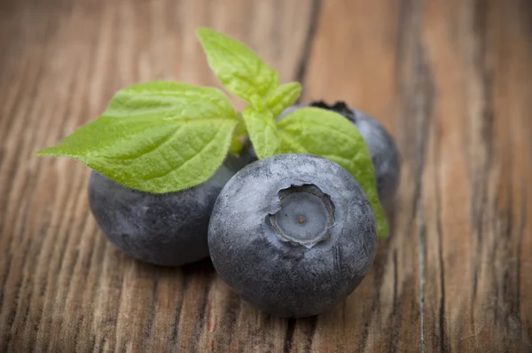 Blueberry — Stock Photo, Image