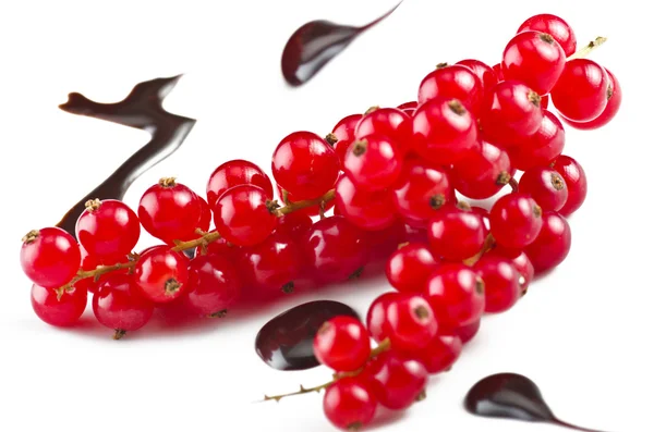 Red currant — Stock Photo, Image