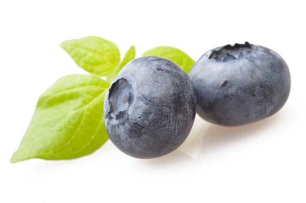 Fresh Blueberry — Stock Photo, Image