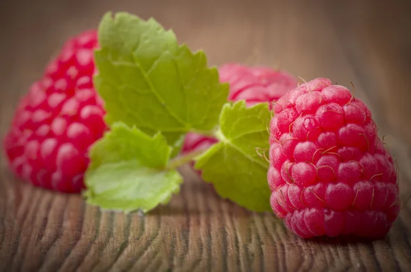 Framboise fraîche — Photo