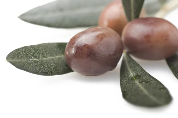 Olives — Stock Photo, Image