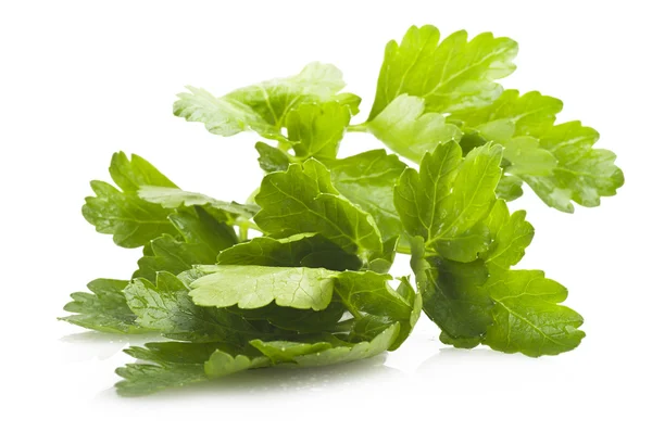 Parsley leaves — Stock Photo, Image