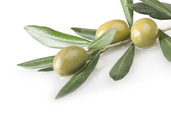 Olive branch — Stock Photo, Image