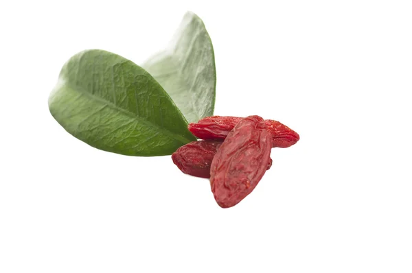 Bacche di Goji — Foto Stock