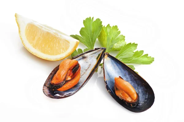 Black mussel — Stock Photo, Image