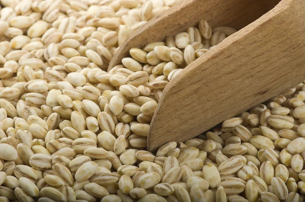 Pearl barley — Stock Photo, Image